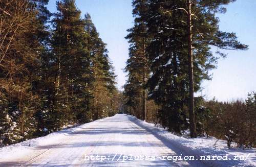 Фото 20. Дорога Плюсса - Курея, справа - большой карьер. Перед поворотом на Гривцево