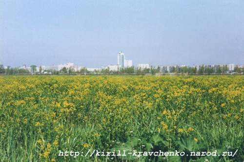 Фото 03. 2005-05-24. Вид на небоскреб пр.Ветеранов