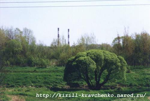 Фото 07. 2005-05-24. Вид на трубы котельной в Предпортовой