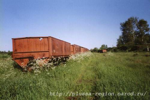 Фото 17. Торфовозные вагоны в Заплюсье