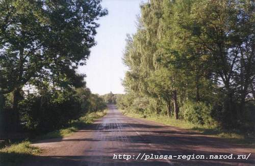 Фото 02. 2005-07-05. Деревня Запесенье, дорога на Заполье