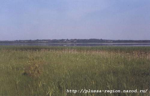 Фото 04. 2005-07-05. Вид на озеро Песно. На том берегу виднеется деревня Полосы