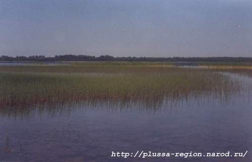 Фото 07. 2005-07-05. Озеро Песно, вид из деревни Запесенье