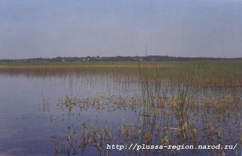 Фото 08. 2005-07-05. Озеро Песно, вид из деревни Запесенье