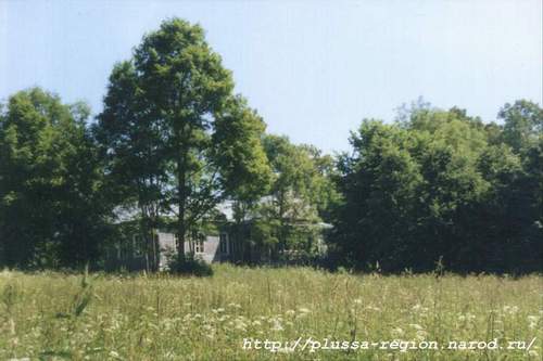 Фото 14. 2005-07-05. А вот это и есть усадебный дом Римского-Корсакова в Вечаше. Скрыт за деревьями