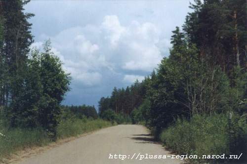 Фото 32. 2005-07-05. Дорога на Полосы. Впереди виднеется идущая грозовая туча