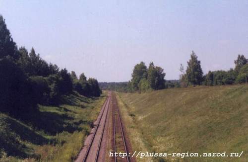 Фото 10. 2005-07-06. Вид на железную дорогу в сторону Плюссы с путепровода