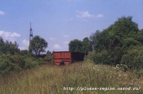 Фото 13. 2005-07-06. Торфовозный вагон, со всех сторон густо заросший бурьяном