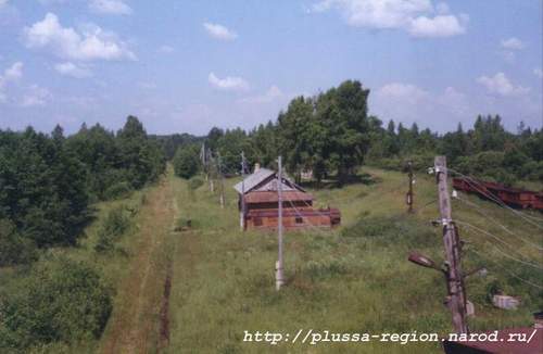 Фото 19. 2005-07-06. Вид с крыши перегруза. Слева - широкая колея, справа - узкая