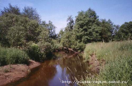 Фото 07. 2005-07-07. Река Курея