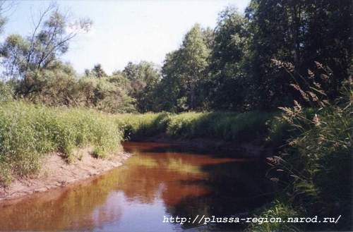 Фото 09. 2005-07-07. Река Курея