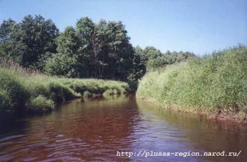 Фото 10. 2005-07-07. Река Курея