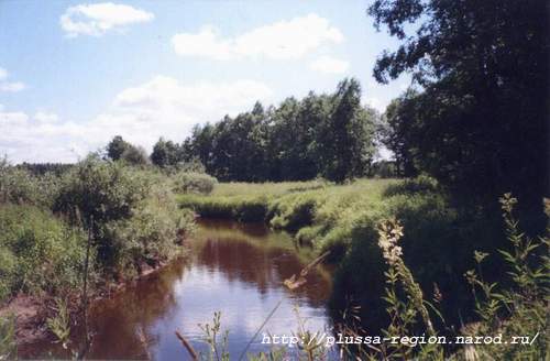 Фото 11. 2005-07-07. Река Курея, вид с ее левого берега