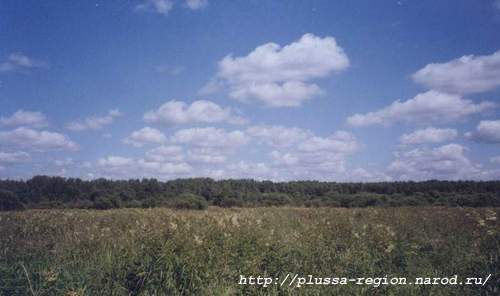 Фото 13. 2005-07-07. Большое болото. Впереди - Лопатки, река Курея - за спиной