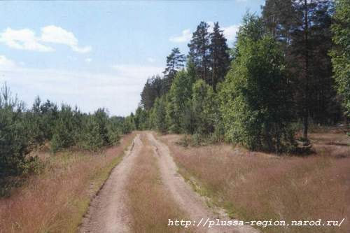 Фото 19. 2005-07-07. Дорога Воцкий брод - 197 км