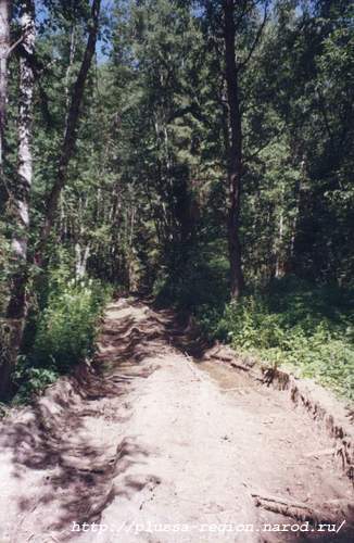 Фото 24. 2005-07-07. Лесовозная дорога в сторону бв.деревни Курск