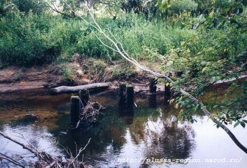 Фото 05. В реке Курея близ дороги на Добрый Бор были обнаружены остатки моста