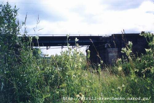 Фото 05. 2005-06-28. Железнодорожный мост через р.Парица
